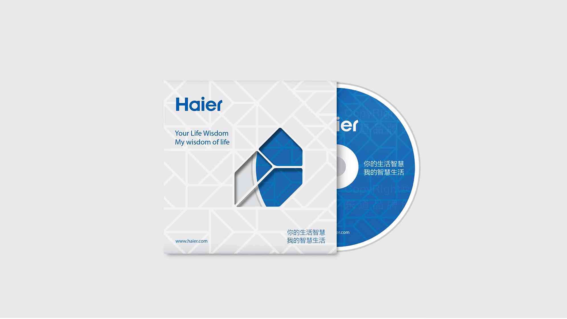 海尔Haier品牌vi设计图片素材_3